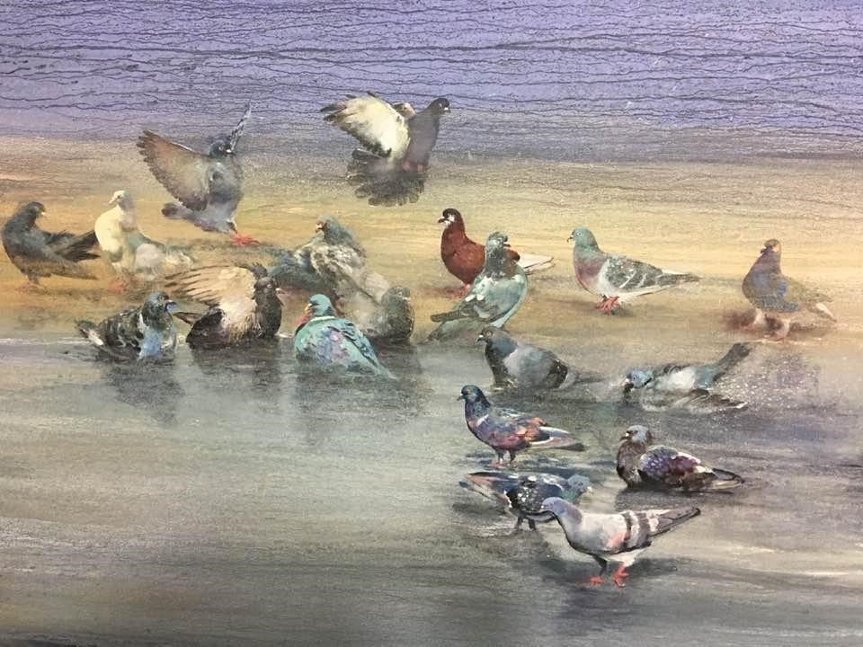 A group of Pigeons bathing, 7X5 ft, acrylic on canvas, 2021.